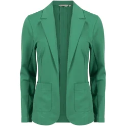 Blazer Liz