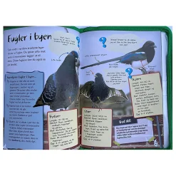 Bli en naturforsker bok