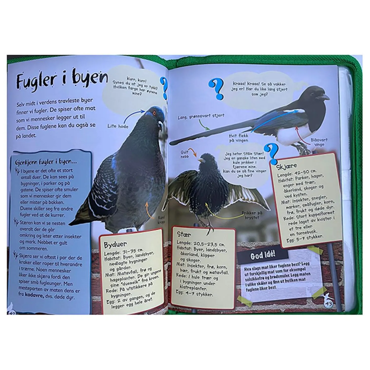 Bli en naturforsker bok