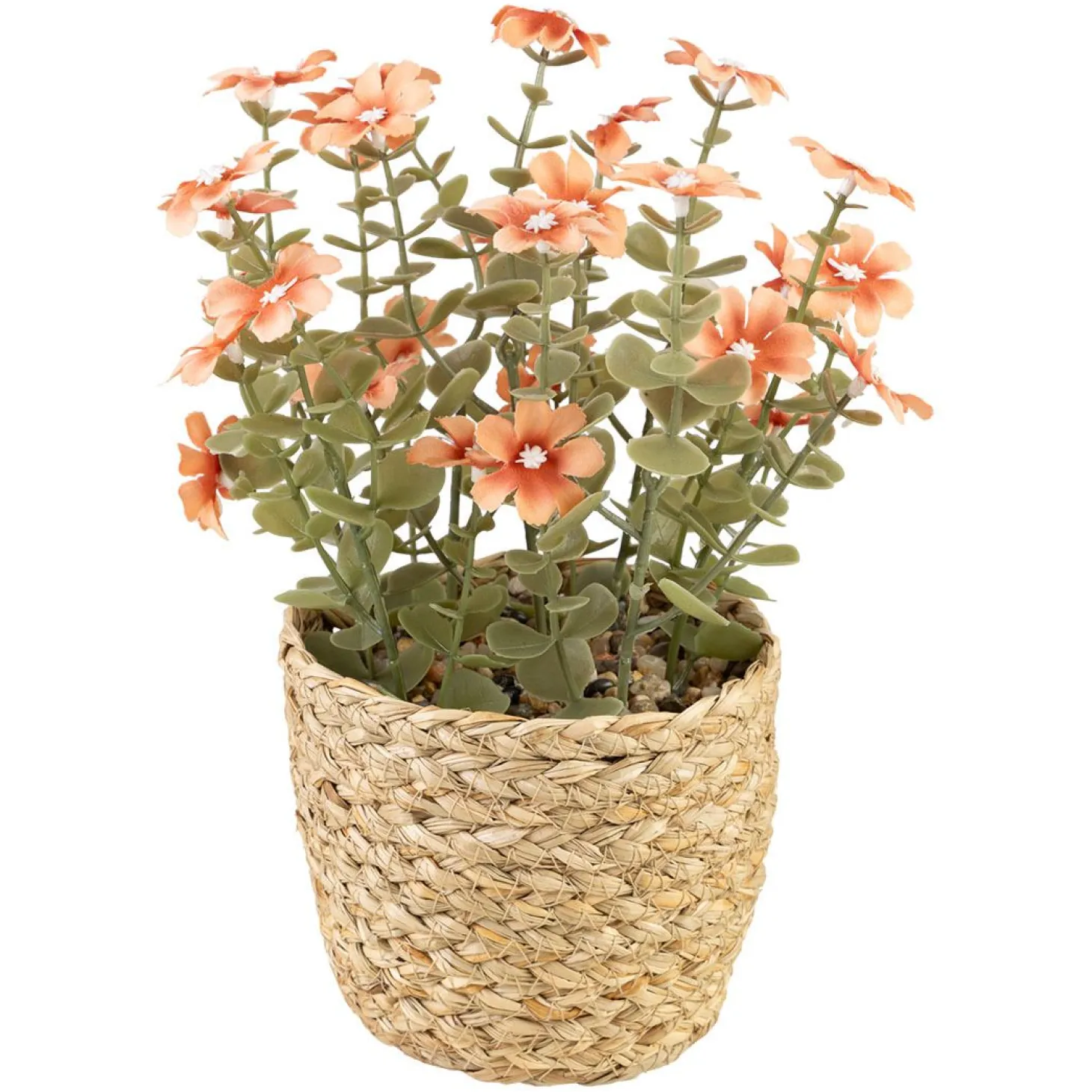 Blomster i potte Sweeet