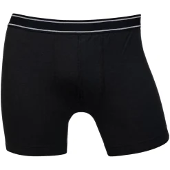 Boxer Rosendal