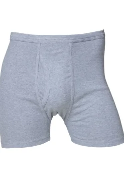 Brenibba boxer
