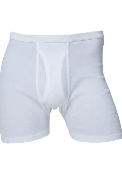 Brenibba boxer