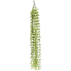 Dekorheng grønn plante Long grass