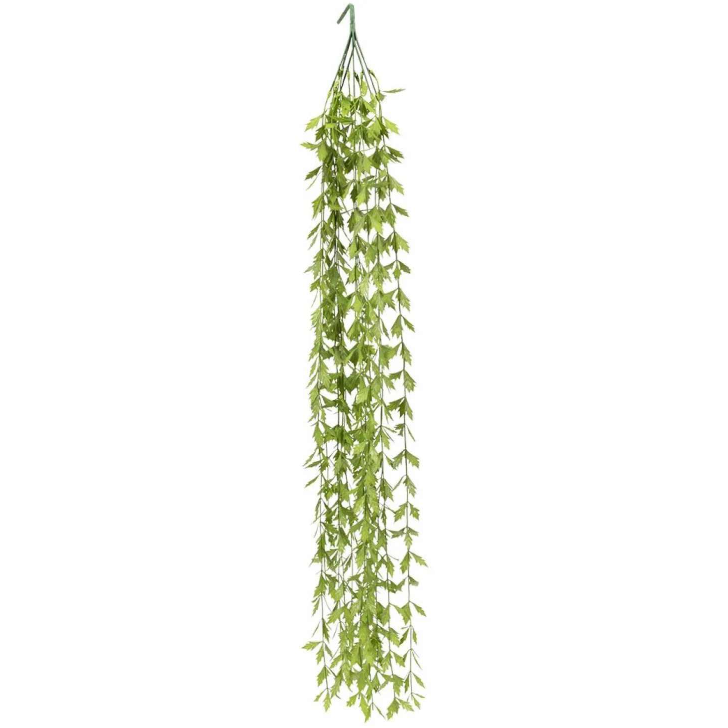 Dekorheng grønn plante Long grass