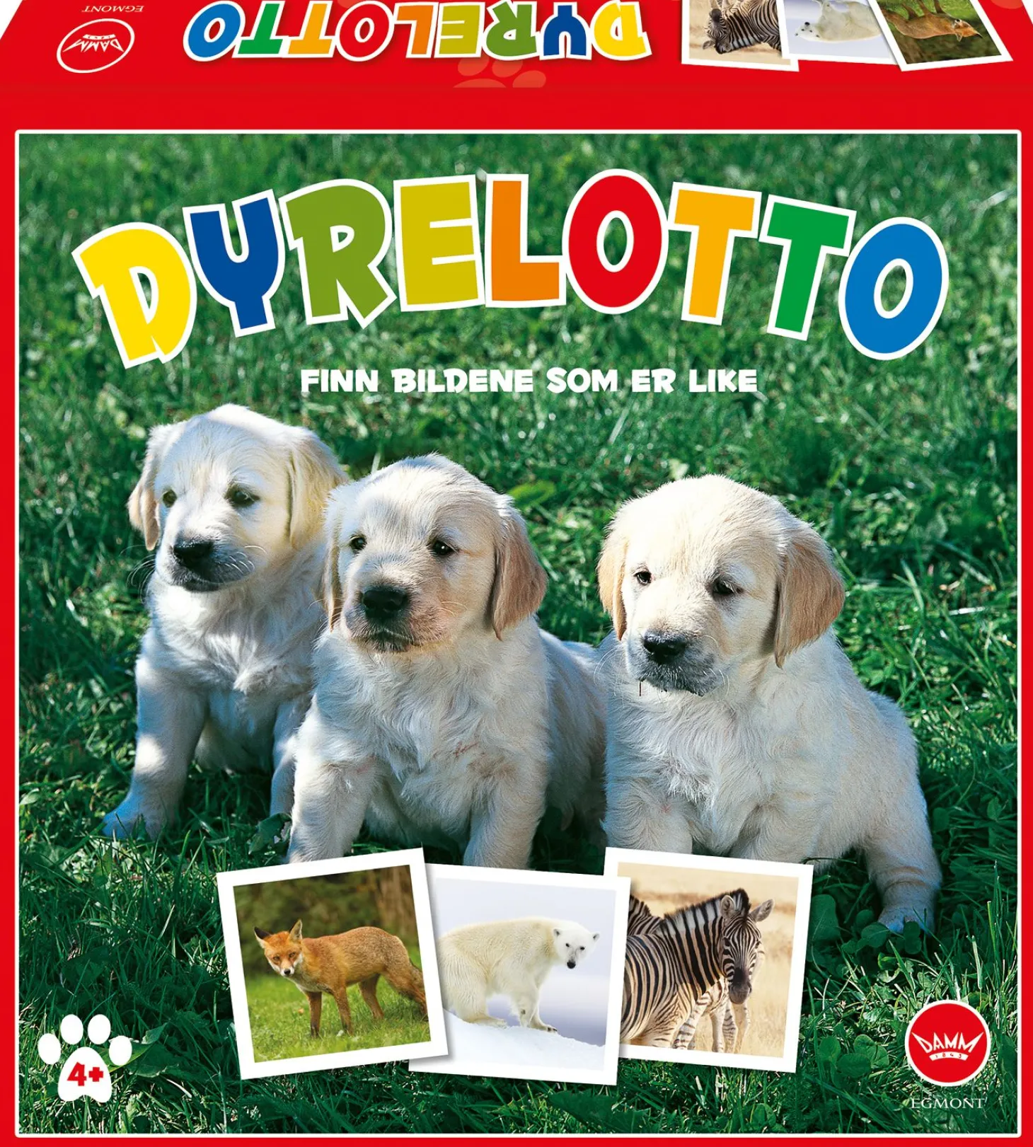 Dyrelotto
