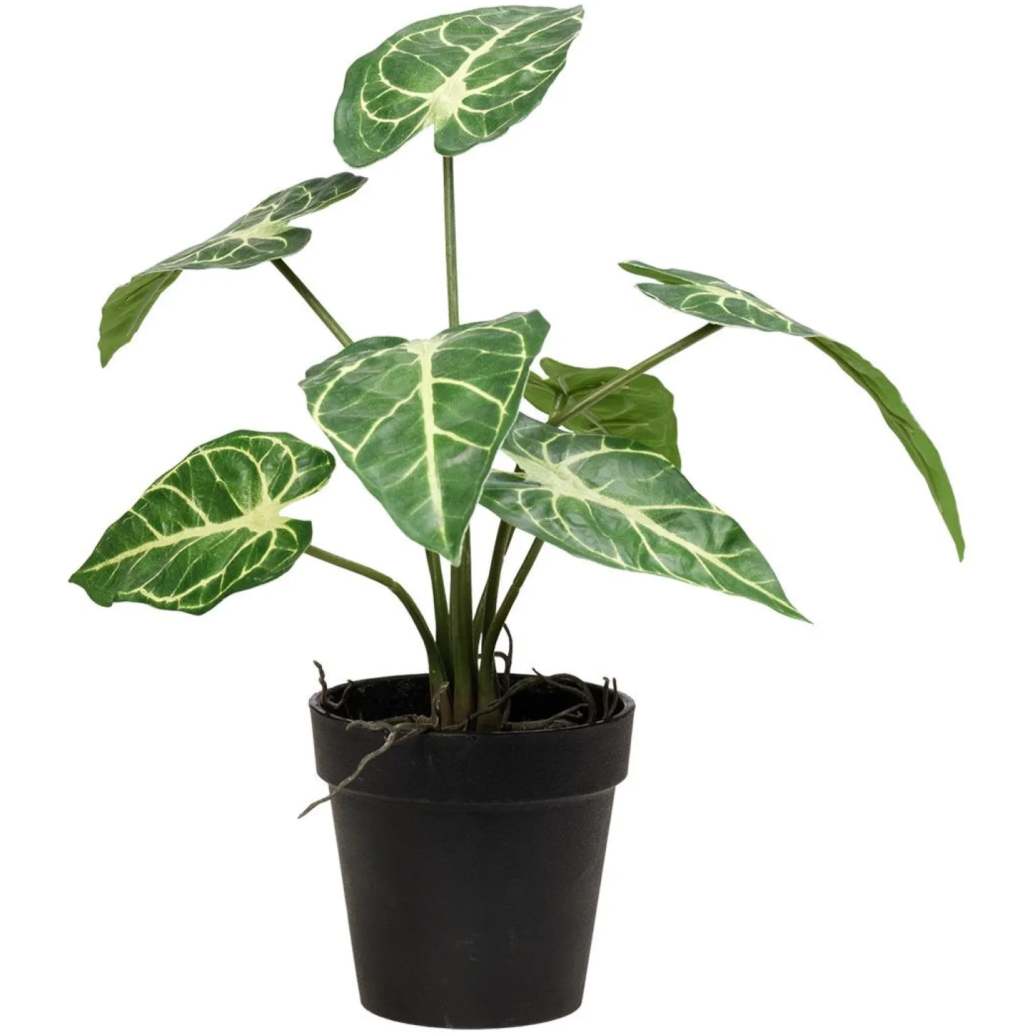 Plante grønn Angel 27cm