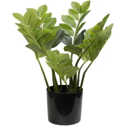 Smaragdpalme 42cm