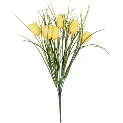 Tulipaner